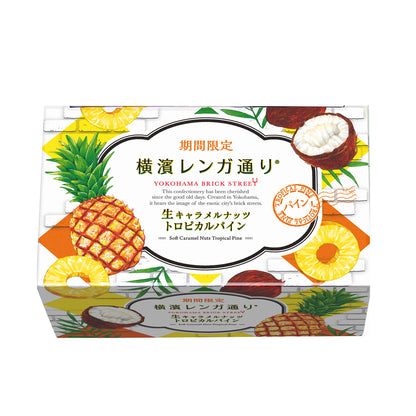 横濱レンガ通り トロピカルパイン 6個入
